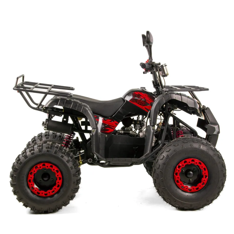 XTR PHYTON 8 pilt 2